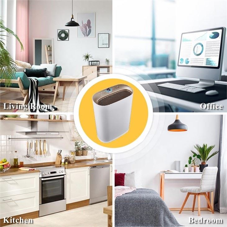 BKJ-300 Anion HEPA Room Air Purifier 300 CADR