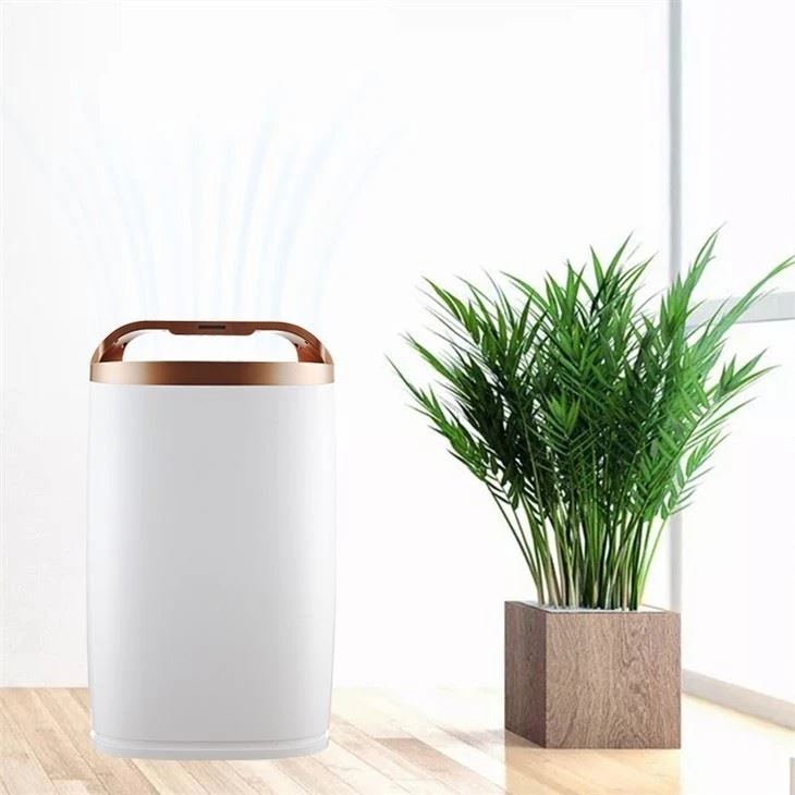BKJ-306A Home Air Purifier With Air Dust Sensor