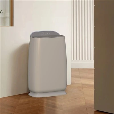 Bkj -16 a Hepa Anion Function очиститель воздуха